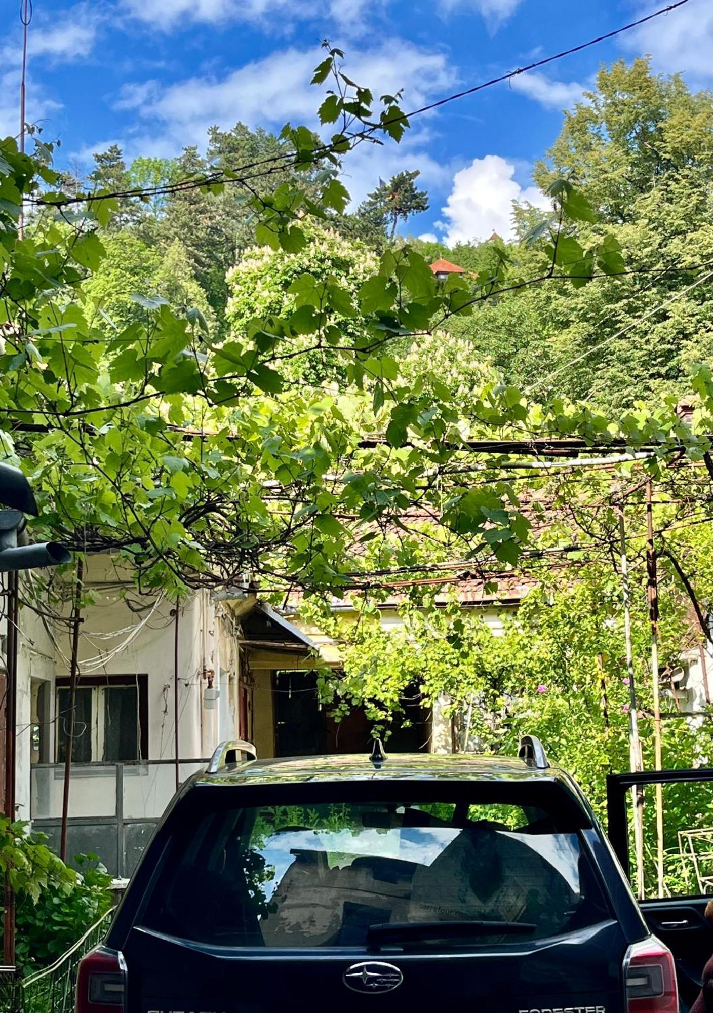 Casa Ming Braşov Exterior foto