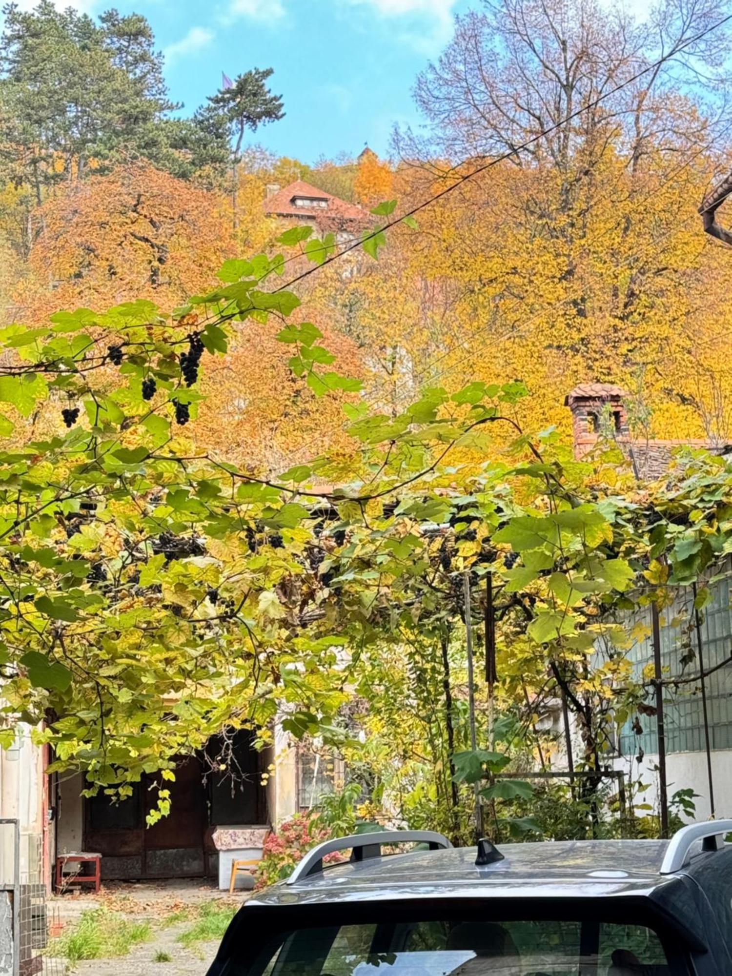 Casa Ming Braşov Exterior foto