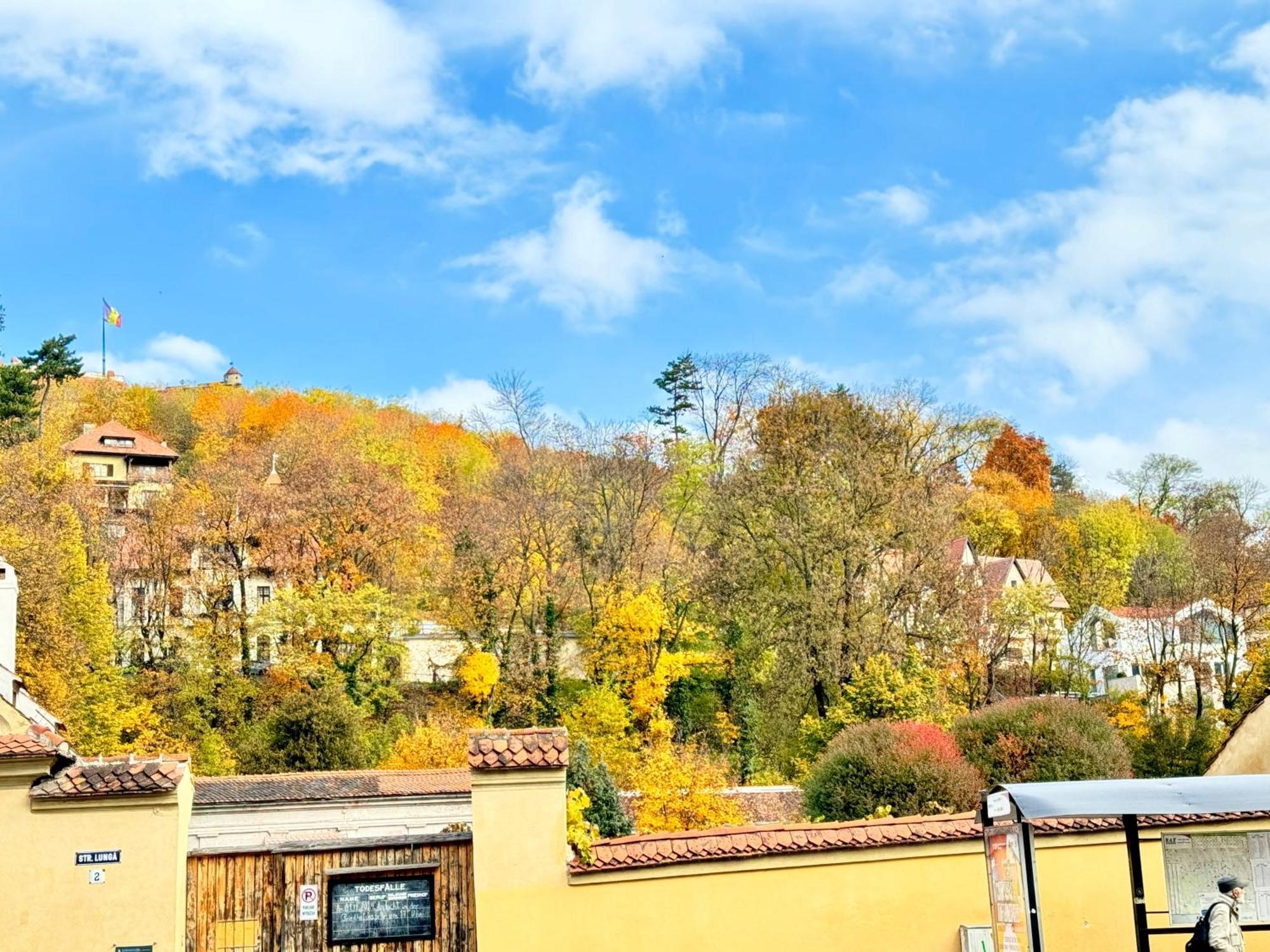 Casa Ming Braşov Exterior foto